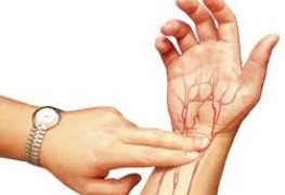 Berapakah Denyut Nadi Normal. Ayo Cek Disini